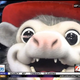 Image for article titled Arkansas Minor League Team Introduces Redneck Possum Mascot